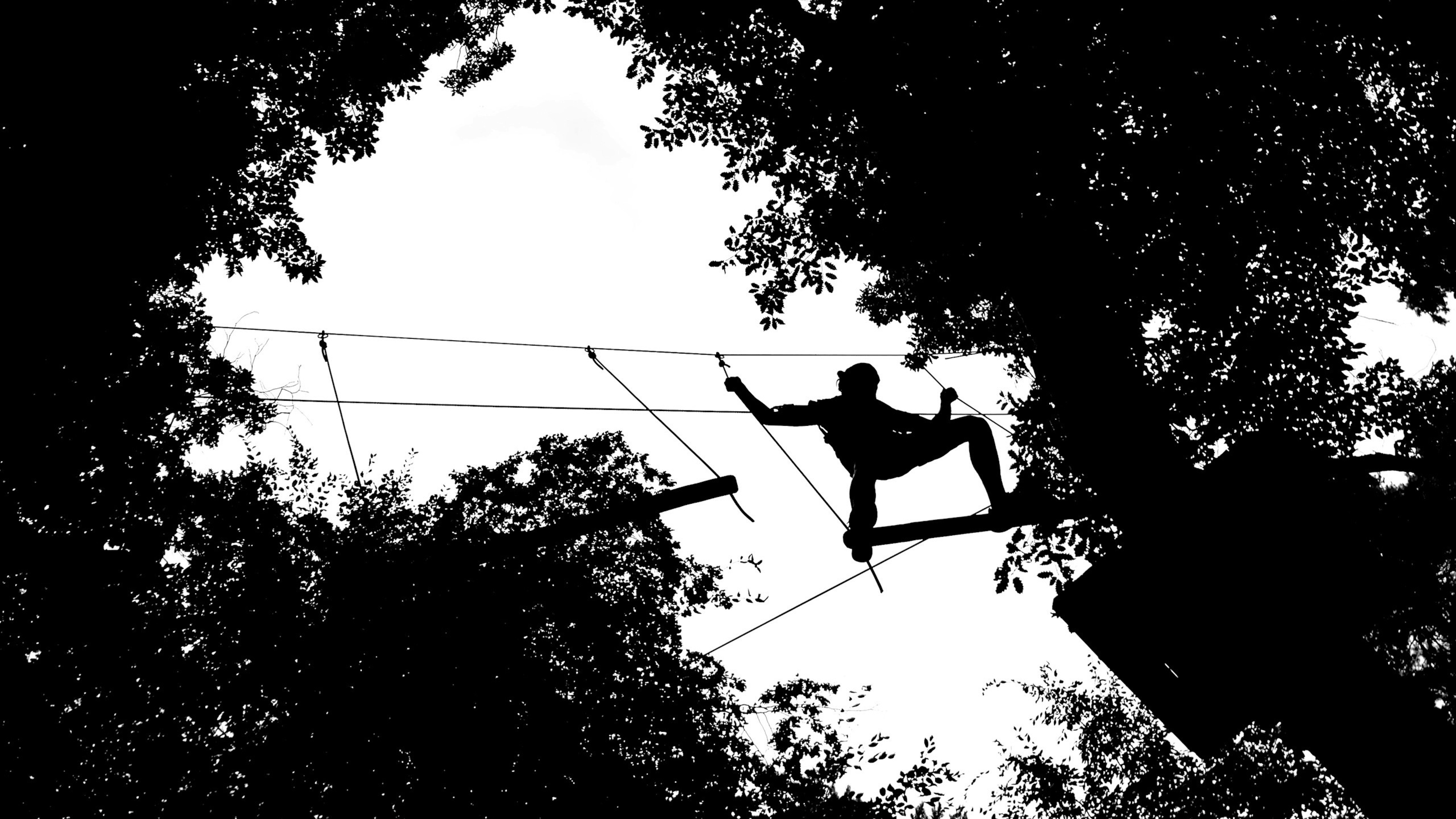 Pustolovski park Betnava